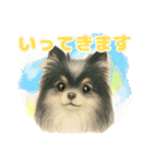 ポメラニアンのココちゃん✨日常✨（個別スタンプ：2）
