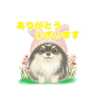 ポメラニアンのココちゃん✨日常✨（個別スタンプ：7）