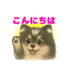 ポメラニアンのココちゃん✨日常✨（個別スタンプ：22）
