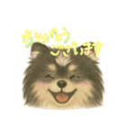 ポメラニアンのココちゃん✨日常✨（個別スタンプ：26）