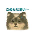 ポメラニアンのココちゃん✨日常✨（個別スタンプ：27）