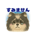 ポメラニアンのココちゃん✨日常✨（個別スタンプ：28）