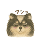 ポメラニアンのココちゃん✨日常✨（個別スタンプ：31）