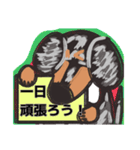【フリップ芸】シルバーダップルのダックス（個別スタンプ：5）