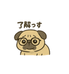 ブサかわパグ（個別スタンプ：1）