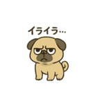 ブサかわパグ（個別スタンプ：5）