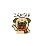 ブサかわパグ（個別スタンプ：8）