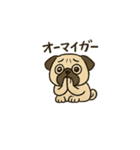 ブサかわパグ（個別スタンプ：11）