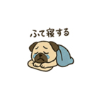 ブサかわパグ（個別スタンプ：12）