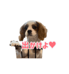 ぺこのにちじょうほんわかすたんぷ（個別スタンプ：20）