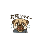 ブサかわパグ（春バージョン）（個別スタンプ：2）