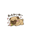 ブサかわパグ（春バージョン）（個別スタンプ：3）