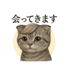 【婚活】恋するスコティッシュホールド猫（個別スタンプ：8）