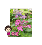 ふみこのスタンプ*米寿祝いに花と名言集（個別スタンプ：9）