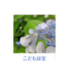 ふみこのスタンプ*米寿祝いに花と名言集（個別スタンプ：17）