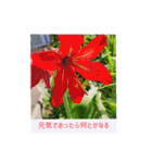 ふみこのスタンプ*米寿祝いに花と名言集（個別スタンプ：19）