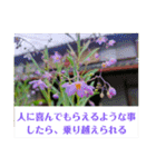 ふみこのスタンプ*米寿祝いに花と名言集（個別スタンプ：24）