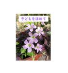 ふみこのスタンプ*米寿祝いに花と名言集（個別スタンプ：29）