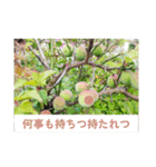 ふみこのスタンプ*米寿祝いに花と名言集（個別スタンプ：32）