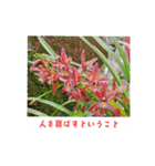 ふみこのスタンプ*米寿祝いに花と名言集（個別スタンプ：33）