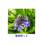 ふみこのスタンプ*米寿祝いに花と名言集（個別スタンプ：36）