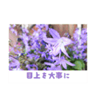 ふみこのスタンプ*米寿祝いに花と名言集（個別スタンプ：38）