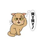 アクションk-gigi23−2（個別スタンプ：6）