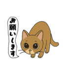 アクションk-gigi23−2（個別スタンプ：12）