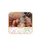 うちのペットさんだー（個別スタンプ：1）