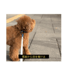 ろたのきもち（個別スタンプ：1）
