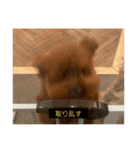 ろたのきもち（個別スタンプ：3）