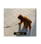 ろたのきもち（個別スタンプ：10）