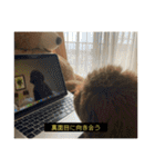 ろたのきもち（個別スタンプ：22）