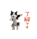 踊る！ダンス猫（ハチワレ）（個別スタンプ：2）