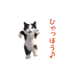 踊る！ダンス猫（ハチワレ）（個別スタンプ：6）