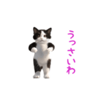 踊る！ダンス猫（ハチワレ）（個別スタンプ：15）