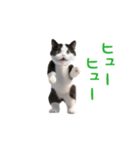 踊る！ダンス猫（ハチワレ）（個別スタンプ：22）