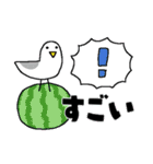 夏のご挨拶＊うさきゅん＊2（個別スタンプ：3）