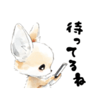 涼しげフェネックさん（個別スタンプ：16）