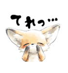 涼しげフェネックさん（個別スタンプ：17）