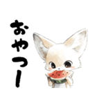 涼しげフェネックさん（個別スタンプ：34）