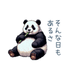 毎日使えるマイペースぱんだ【かわいい】（個別スタンプ：6）