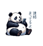 毎日使えるマイペースぱんだ【かわいい】（個別スタンプ：32）