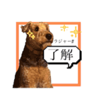 ちゃ⭐︎（個別スタンプ：5）