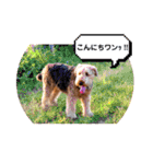 ちゃ⭐︎（個別スタンプ：12）