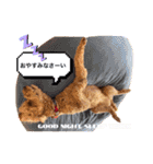 ちゃ⭐︎（個別スタンプ：16）