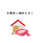 猫が脱走したときに使うスタンプ（個別スタンプ：14）