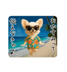 夏♡エッホエッホ チワワ（個別スタンプ：10）