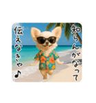 夏♡エッホエッホ チワワ（個別スタンプ：11）