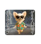 夏♡エッホエッホ チワワ（個別スタンプ：15）